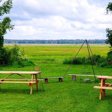 Wilcza Nora - Pole Biwakowe Hotel Dolistowo Nowe Luaran gambar