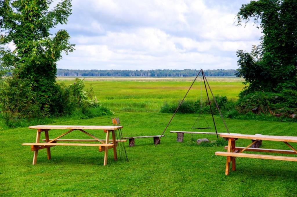 Wilcza Nora - Pole Biwakowe Hotel Dolistowo Nowe Luaran gambar